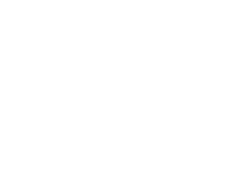 Chint