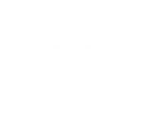 Netelsan